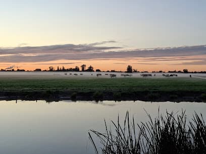 Hekslootpolder