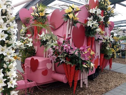 Galerie Nieuw Schoten