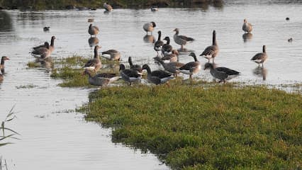 Landje van Gruijters