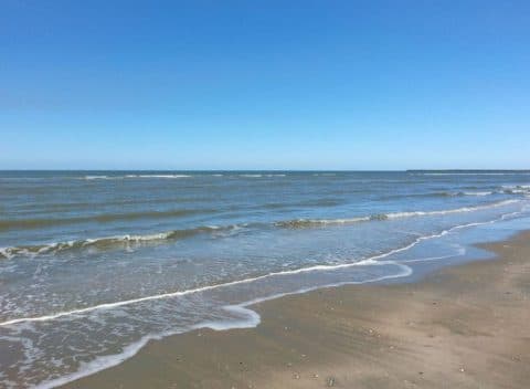 Strandexcursie Zuidpier IJmuiden