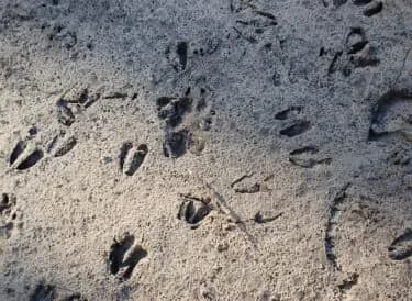 Spoorzoekertje! Doe je mee?