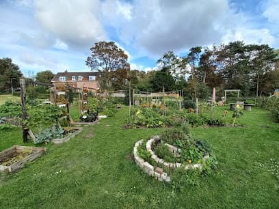 Buurtmoestuin Pacha Mamma