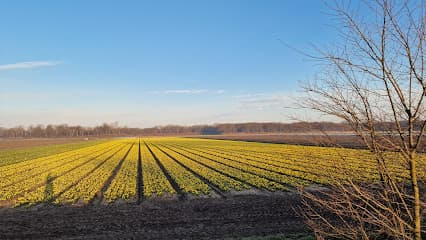 Landgoed 't Huis te Vogelenzang