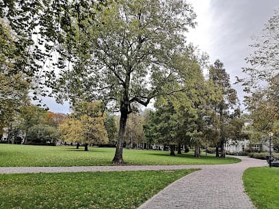 Picknicken in het Haarlemmerhout