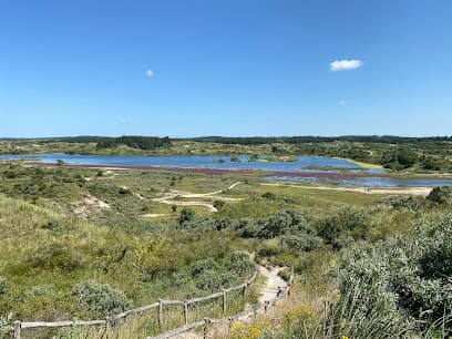 Sterren kijken in de duinen