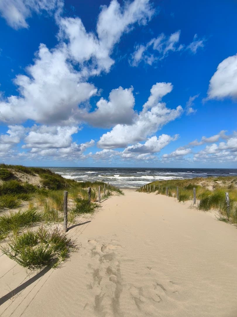 Strandreservaat Noordvoort